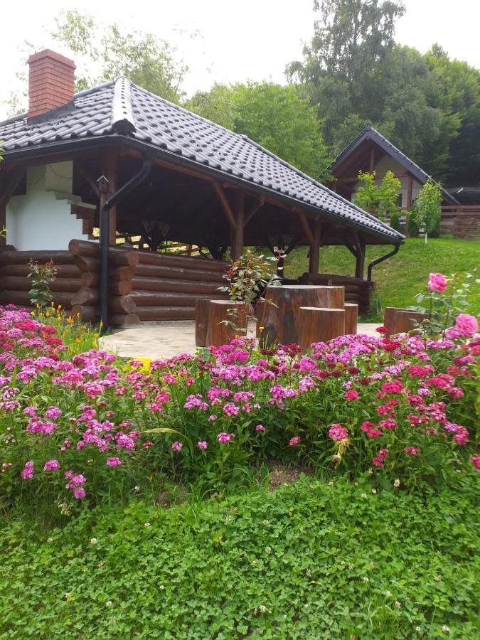 Hotel Pensiunea Doina Bucovinei Mînăstirea Humorului Exteriér fotografie
