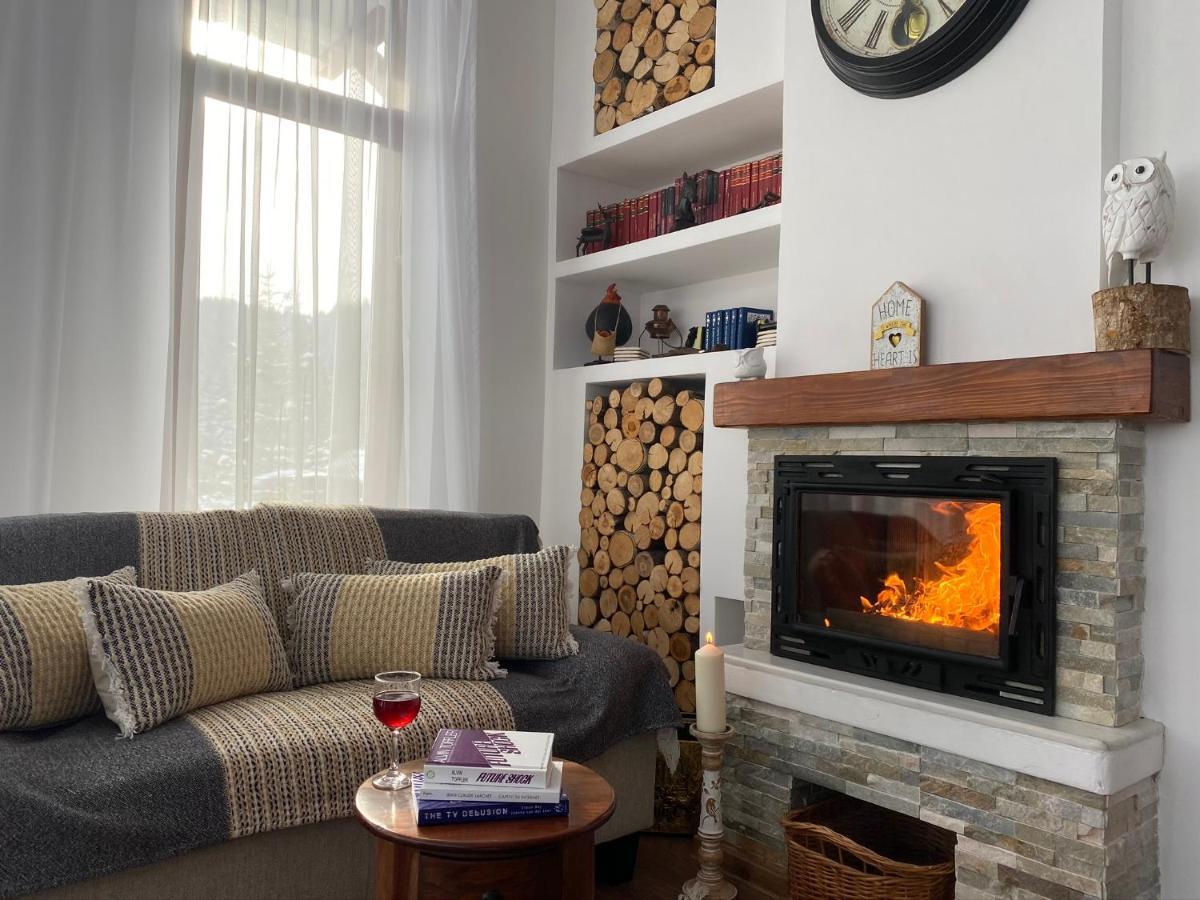Hotel Pensiunea Doina Bucovinei Mînăstirea Humorului Exteriér fotografie