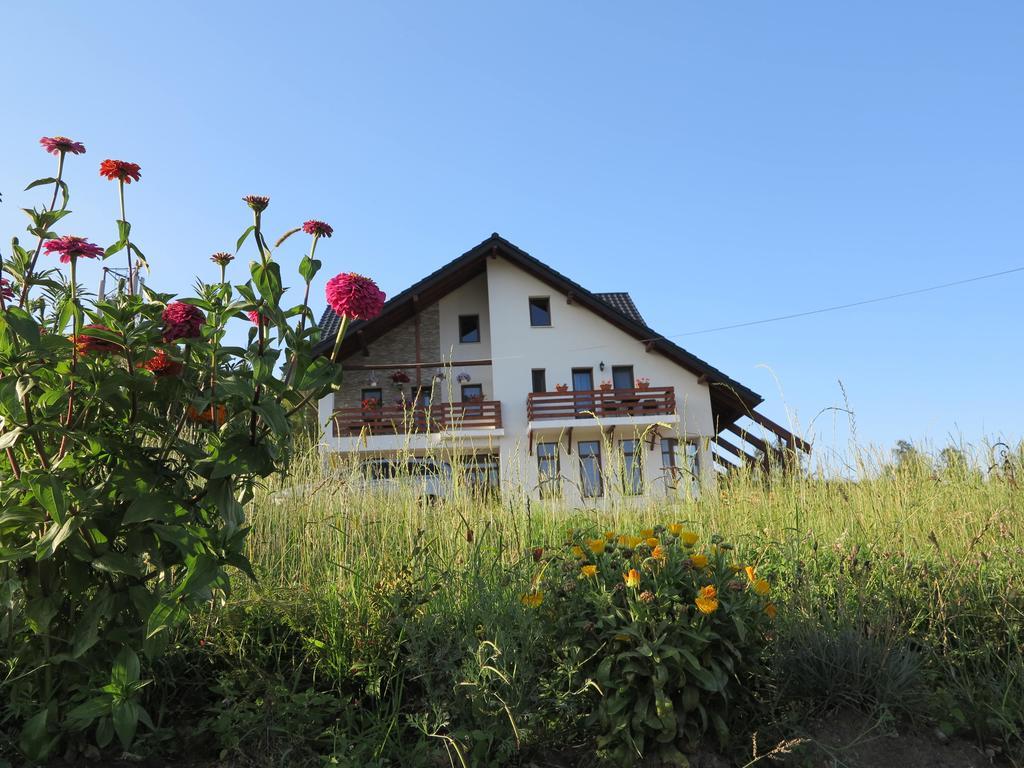 Hotel Pensiunea Doina Bucovinei Mînăstirea Humorului Exteriér fotografie