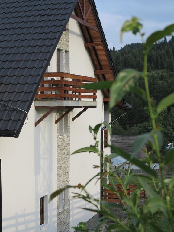 Hotel Pensiunea Doina Bucovinei Mînăstirea Humorului Exteriér fotografie